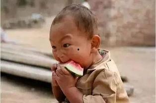 和孩子们一起来吃瓜,与孩子们共享欢乐吃瓜盛宴